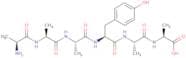 H-Ala-Ala-Ala-Tyr-Ala-Ala-OH