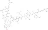 H-Arg-Arg-Leu-Ile-Glu-Asp-Asn-Glu-Tyr-Thr-Ala-Arg-Gly-OH