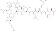 Amylin (1-13) (human)