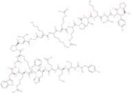 ACTH (2-24) (human, bovine, rat) trifluoroacetate salt