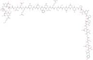 Amylin (mouse, rat) trifluoroacetate