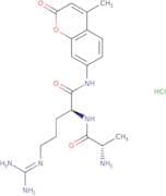 H-Ala-Arg-AMC hydrochloride