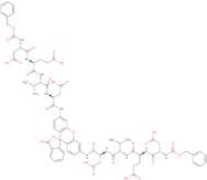(Z-Asp-Glu-Val-Asp)2-Rhodamine 110