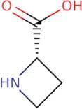 L-Azetidine-2-carboxylic acid