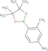4-Amino-2-methylphenylboronic acid, pinacol ester
