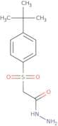 N-Amino-2-((4-(tert-butyl)phenyl)sulfonyl)ethanamide