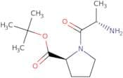 L-Alanyl-L-proline tert-butyl ester