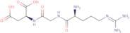 Arg-Gly-Asp
