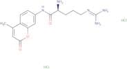 L-Arginine 7-amido-4-methylcoumarin dihydrochloride