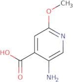 5-Amino-2-methoxyisonicotinic acid
