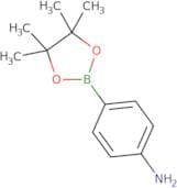 (4-Aminophenyl)boronic acid pinacol ester