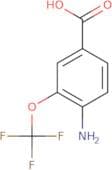 4-Amino-3-(trifluoromethoxy)benzoic acid