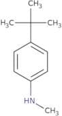 4-tert-Butyl-N-methylaniline