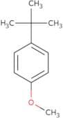 4-tert-Butylanisole