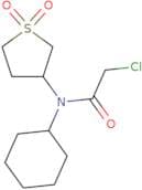 2-Chloro-N-cyclohexyl-N-(1,1-dioxothiolan-3-yl)acetamide