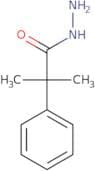 2-Methyl-2-phenylpropanehydrazide