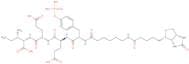 Biotinyl-ε-aminocaproyl-Tyr(PO3H2)-Glu-Glu-Ile-OH