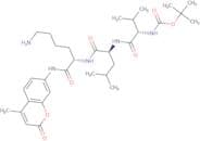 Boc-Val-Leu-Lys-AMC acetate salt