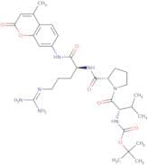 Boc-Val-Pro-Arg-AMC
