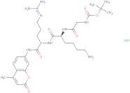 Boc-Gly-Lys-Arg-AMC·HCl