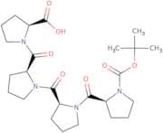 Boc-Pro-Pro-Pro-Pro-OH