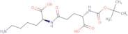 Boc-Glu(Lys-OH)-OH