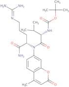 Boc-Val-Arg-AMC•HCl
