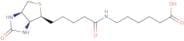 Biotin caproic acid