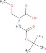 (R)-2-((tert-Butoxycarbonyl)amino)-3-methoxypropanoic acid