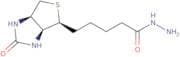 Biotin hydrazide
