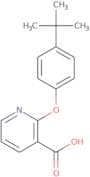 2-(4-(tert-Butyl)phenoxy)pyridine-3-carboxylic acid