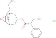 N-Butyl nor scopolamine hydrochloride