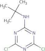 2-(tert-Butylamino)-4,6-dichloro-1,3,5-triazine