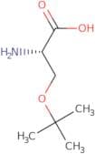 O-tert-Butyl-L-serine