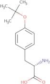 O-tert-Butyl-L-tyrosine