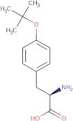 O-tert-Butyl-D-tyrosine
