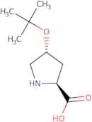O-tert-Butyl-L-trans-4-hydroxyproline