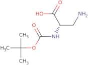 N-α-Boc-L-2,3-diaminopropionic acid