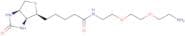 (+)-Biotin-(PEO)3-amine