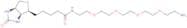 Biotin-PEG4-amine