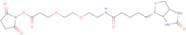 Biotin-PEG2-NHS