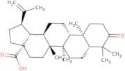 Betulonicacid