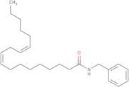 N-Benzyl Linoleamide