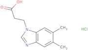3-(5,6-Dimethyl-1H-1,3-benzodiazol-1-yl)propanoic acid hydrochloride