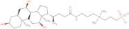 3-((3-Cholamidopropyl)dimethylammonium)-1-propanesulfonate