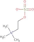 Choline O-sulfate - D13 ,98%