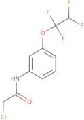 2-Chloro-N-(3-(1,1,2,2-tetrafluoroethoxy)phenyl)ethanamide