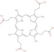 Coproporphyrin I-15N4