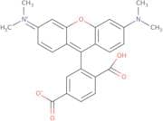 6-Carboxytetramethyl rhodamine