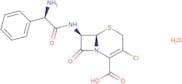 Cefaclor monohydrate